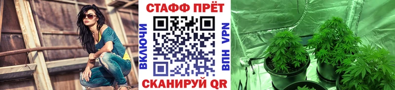 Купить наркотики Торжок Cocaine  Меф  Псилоцибиновые грибы  ГАШИШ  Альфа ПВП 