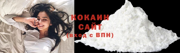 гидра Абаза