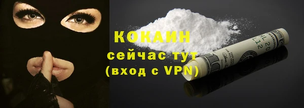гидра Абаза