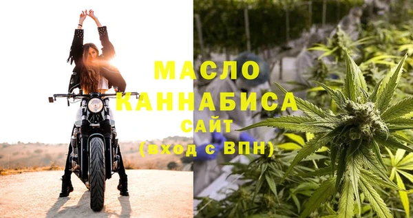 гидра Абаза