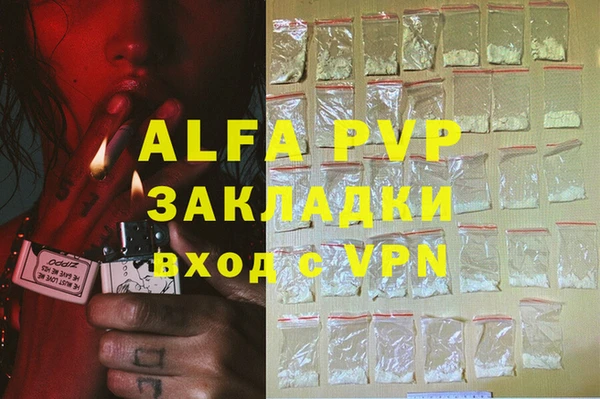 гидра Абаза